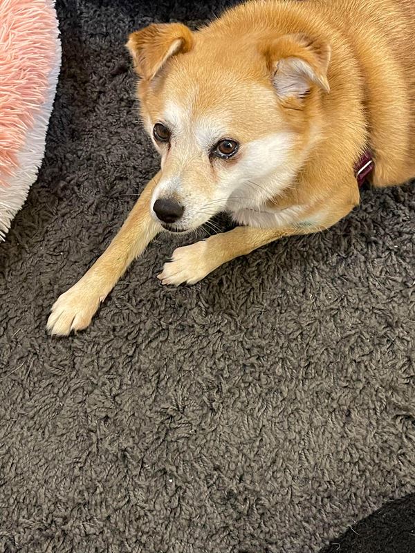 168飞艇官方网站图片